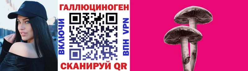 магазин наркотиков Бабаево дарк нет наркотические препараты Галлюциногенные грибы мухоморы